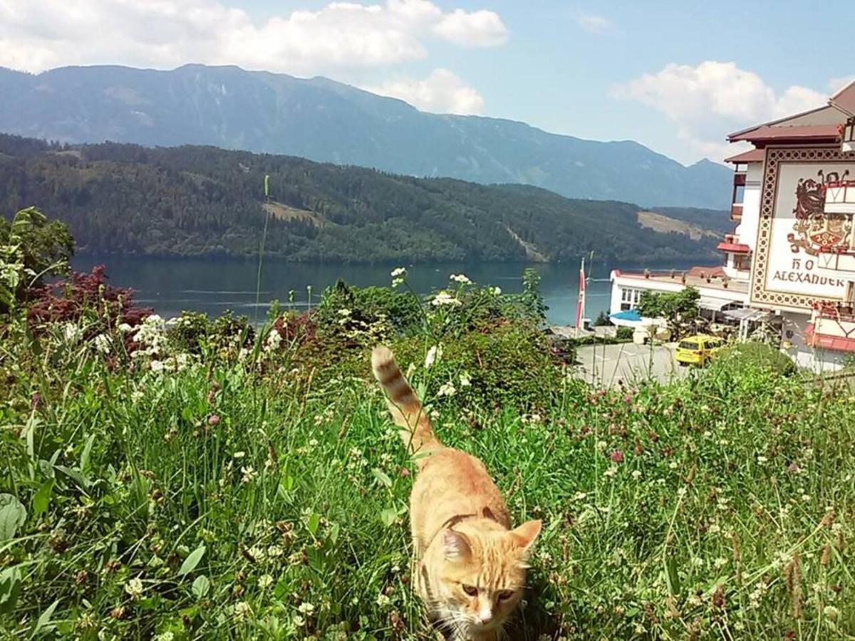 Haus Kraller-Urlaub Mit Seeblick Millstatt Exterior foto