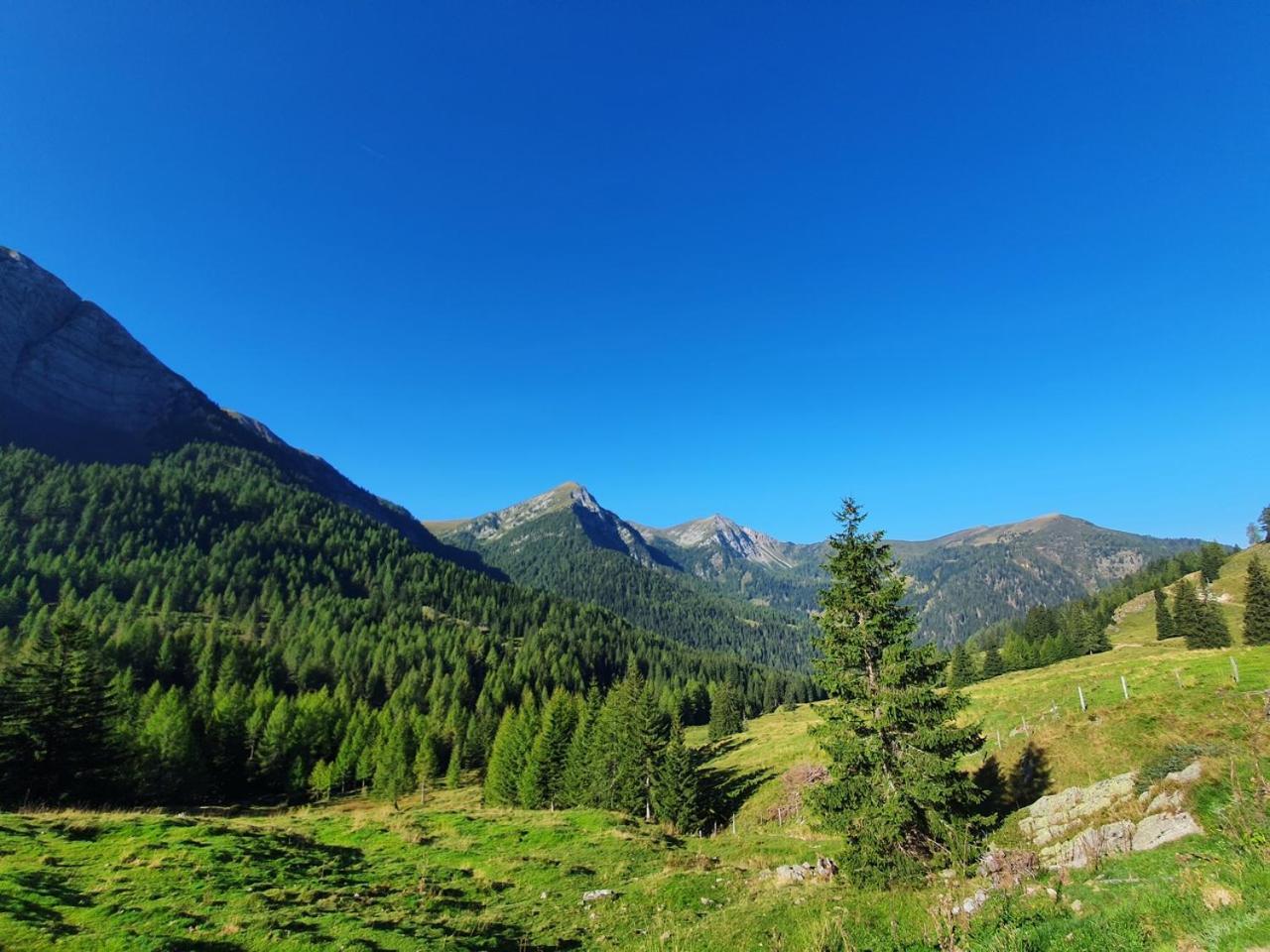 Haus Kraller-Urlaub Mit Seeblick Millstatt Exterior foto